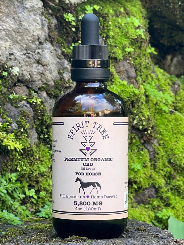 Horse Oil 3800mg CBD